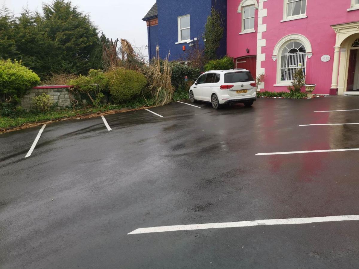 Llety Teifi Guest House Cardigan Εξωτερικό φωτογραφία